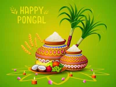 Happy Pongal 2024: Wishes, Messages, Quotes, Images, Facebook & Whatsapp status