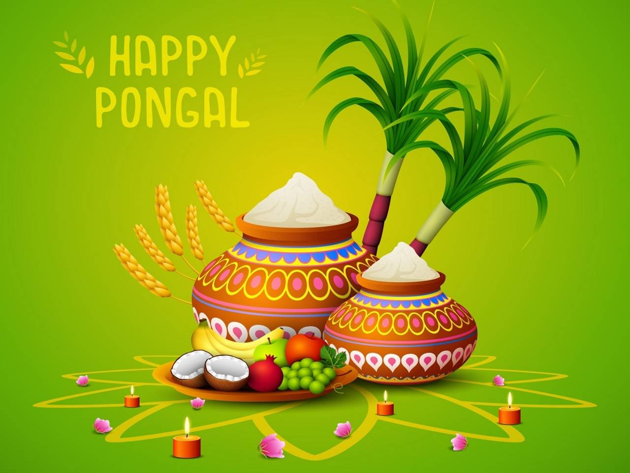 Happy Pongal 2023: Wishes, Messages, Quotes, Images, Facebook ...