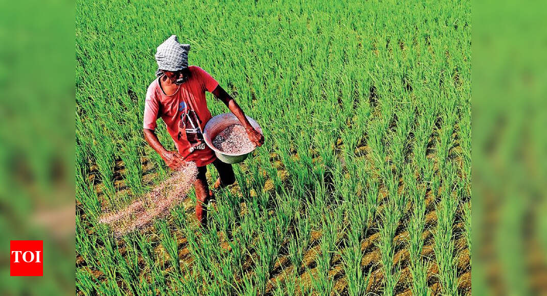 Rain paints Chennai suburbs green | Chennai News - Times of India