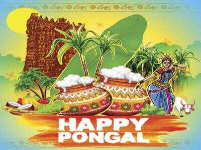 Happy Pongal 2026: Images, Wishes, Messages, Quotes, Cards, Greetings, Pictures, GIFs and Wallpapers