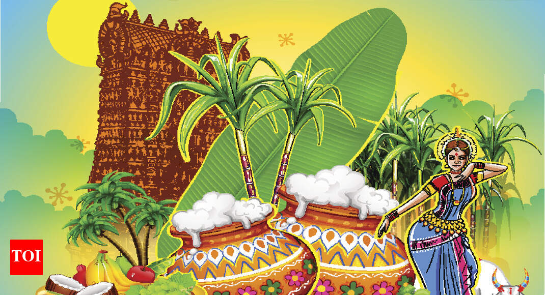 When is Pongal 2022? How it is celebrated? History, Legend, Story and all you need to know - Times of India When is Pongal 2022? How it is celebrated? History, Legend, Story and all you need to know - Times of India