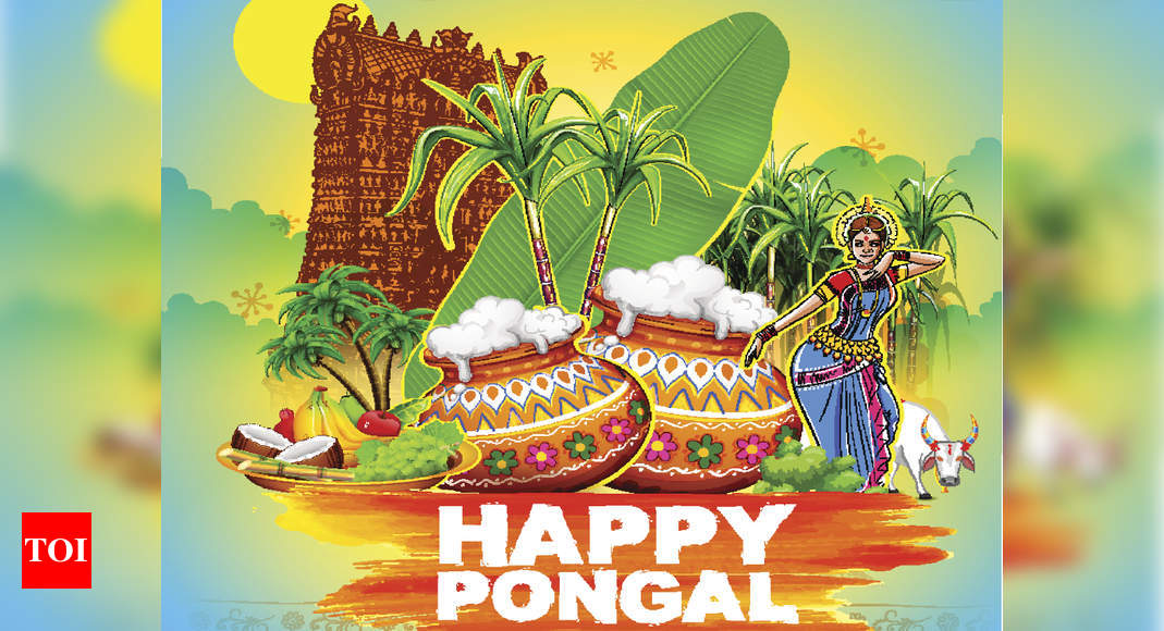 When is Pongal 2024? How it is celebrated? History, Legend, Story and ...