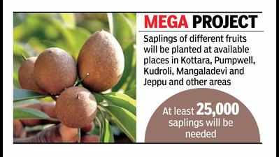 Plans afoot to make Kudla a Fruit City