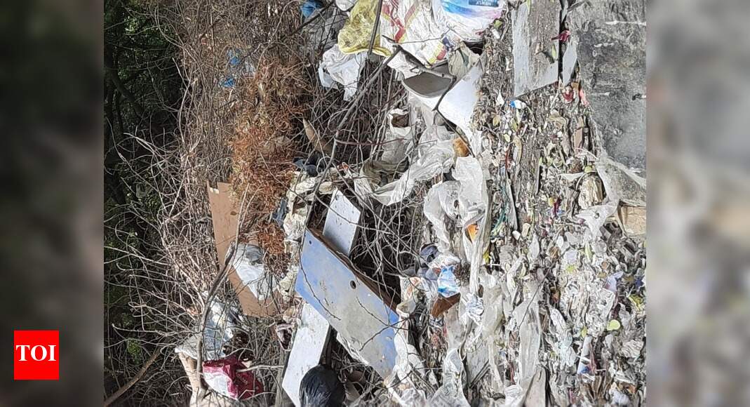 Private open plots becomes dumping ground - Times of India