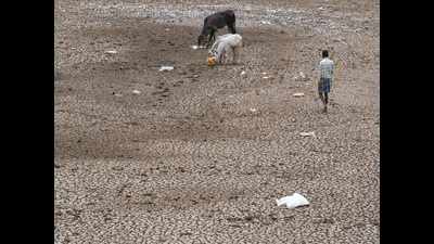 Karnataka government says state doesn’t qualify for relief, drought-hit farmers in lurch