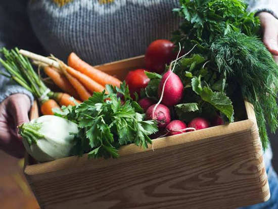 Important vegetables that you must consume during winters