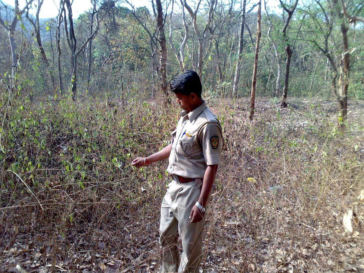 Delhi Forest Guard Recruitment Application Process For 226 Posts Begins Apply Here Times Of India