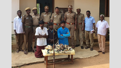 Three men arrested for poaching peafowls in Tamil Nadu