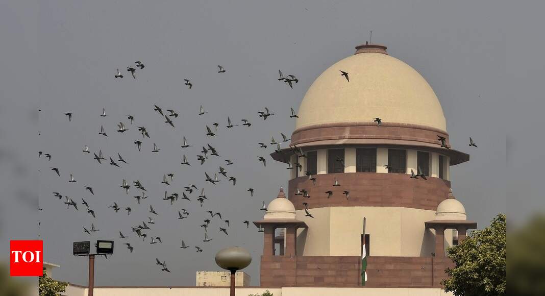 SC to examine faith vs rights, not just Sabari