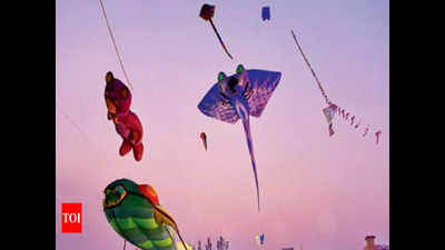 With plastic kites banned, cloth and paper ones fly high