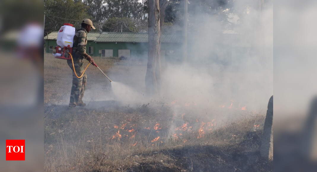 Fire lines created to prevent forest fire in Bandipur Mysuru News