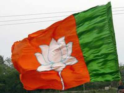 BJP spent over Rs 1,200 cr on polls to Lok Sabha, four state assemblies last year
