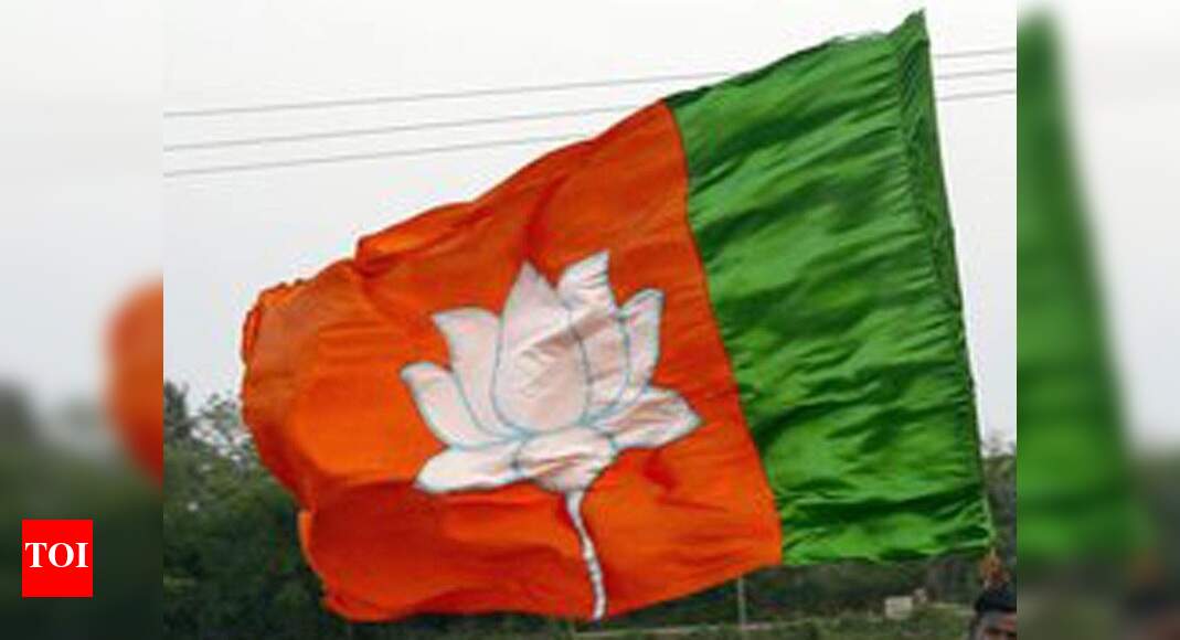 BJP spent over Rs 1,200 cr on polls to Lok Sabha