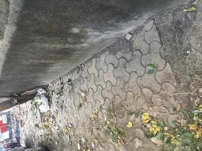Footpath which is never cleaned