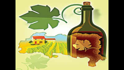 Nagpur: Vidarbha’s first winery uncorks in Bhandara