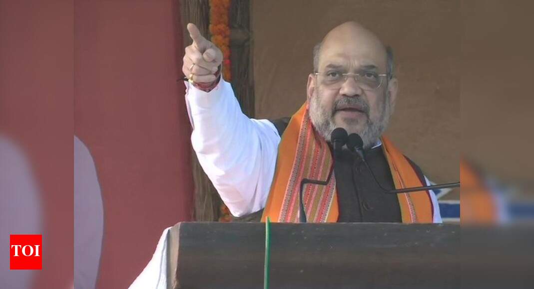 Nitish Kumar to lead NDA in Bihar polls: Shah