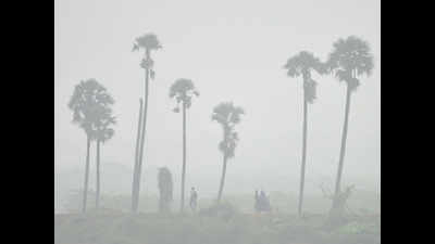 Chennai: Early morning chill, mist to remain for now