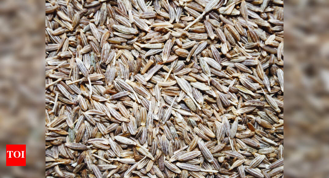 Gujarat Cumin acreage up 44, output may rise by 25 in 2020