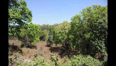 Bengaluru: Commercial activities near Bannerghatta National Park banned