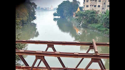 Bacteria, plants to clean up polluted canals around Kolkata