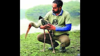Painted stork caught in ‘manja’ rescued, set free