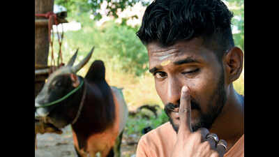 Jallikattu: When one risks it all for tradition and pride