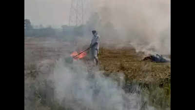 Action on Punjab farm fires: 2,167 cases, Rs 6.1 crore fines, but Rs 13.3 lakh paid so far