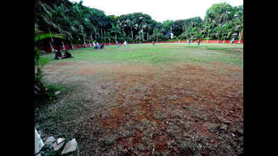 Mumbai: Rs 46 crore contract for gardens