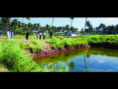 Image result for farmers reap benefits of farm ponds