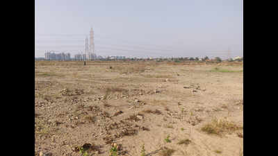 Environmentalists fume as govt authorities miss deadline to restore Bhendkal, Pagote wetlands
