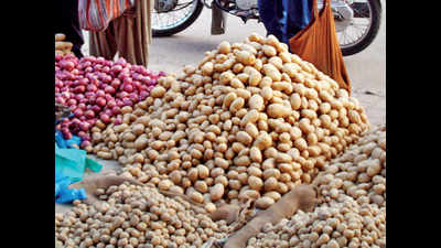 Pune: Potato going the onion way as supplies fall in markets