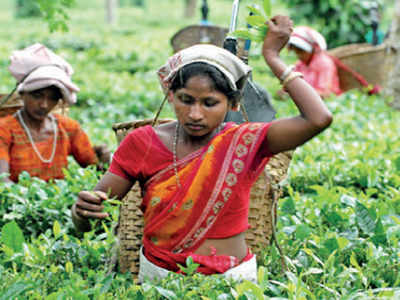 Storm in a cuppa: India pips Lanka, becomes top tea exporter to China