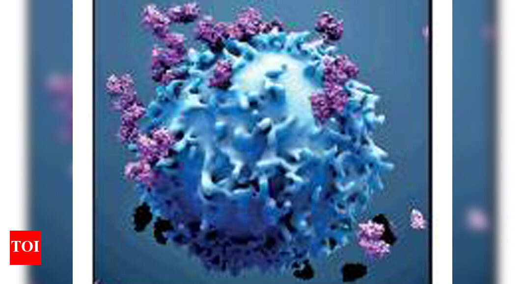 Newly discovered immune cells could cure all cancers Times of India(02)