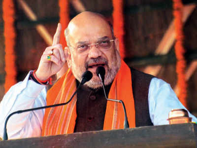 Delhi elections: BJP calls in seniors from different states to ensure ...