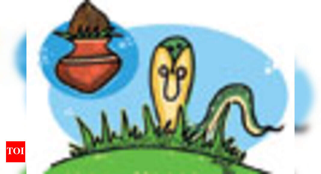 Sacred grass Durva - Times of India