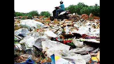 Garbage situation in South Goa worsening, says Michael Lobo