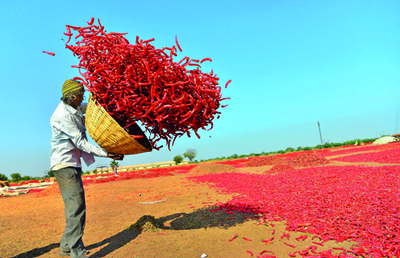 Uff Mirchi! How chilli makes our food hot and happening