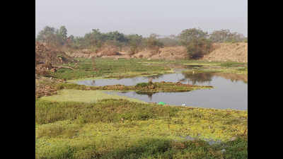 Greens raise red flag over ‘dangerous burial’ of Ghansoli wetlands