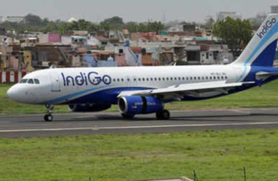 IndiGo to declare its Q3 results today
