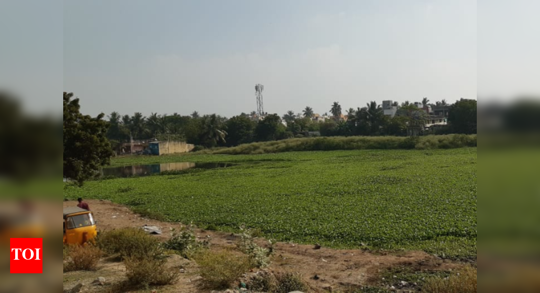 Adambakkam, Perumbakkam and Vengaivasal lakes in Chennai to be deepened