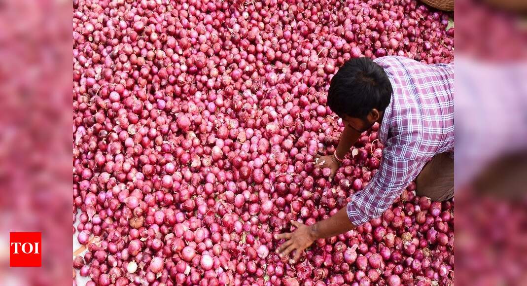 Onion production to see 7 increase in 201920 crop year, overall