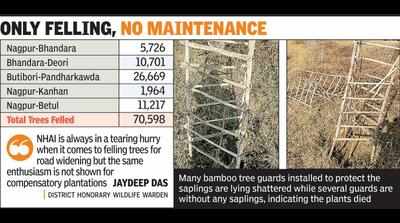 80% saplings planted on Borkhedi-Jamb section dead