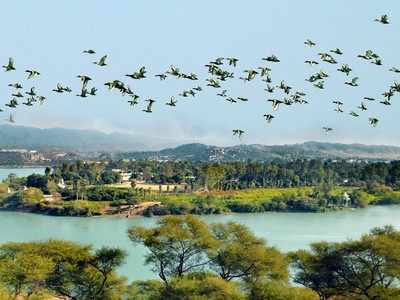 10 more Indian wetlands get global importance tag