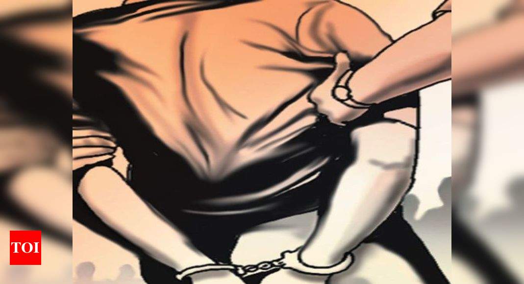 Ambathur Sex Videos - 24-year-old held for watching child porn in Chennai | Chennai News - Times  of India