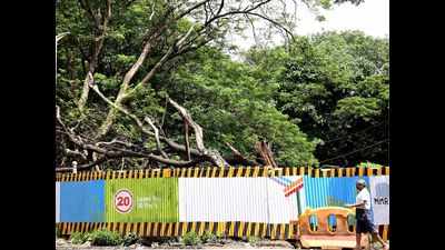 Shifting Aarey car shed will see massive cost escalation: Panel