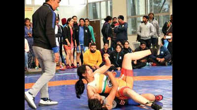 Haryana grapplers shine with five gold medals