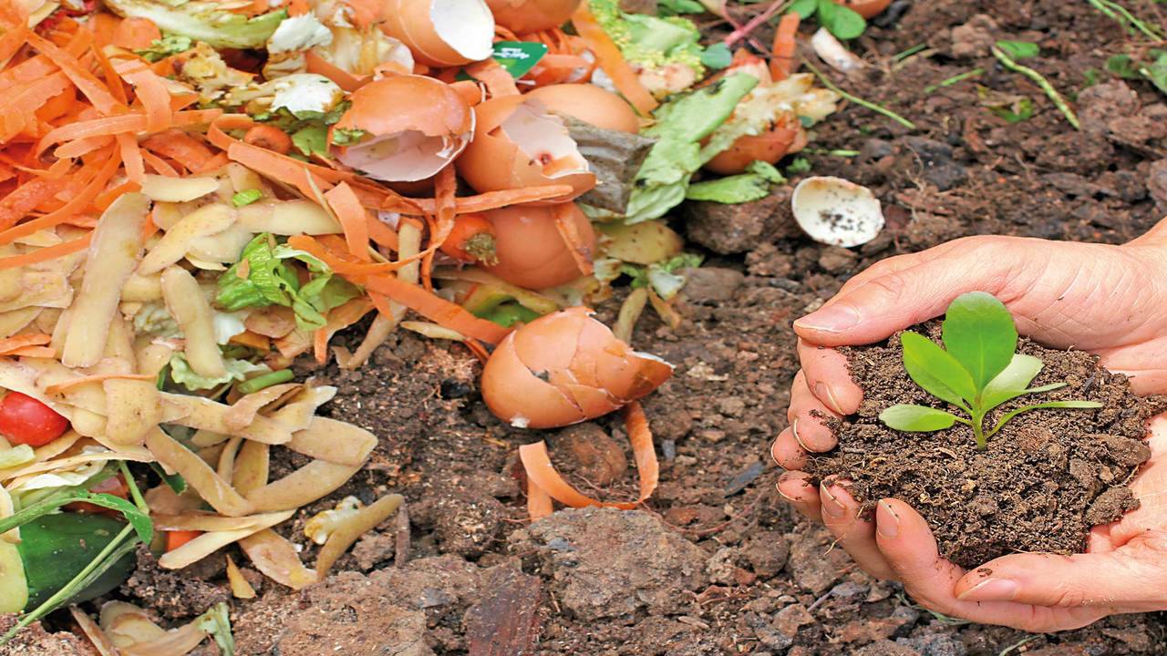 The art of composting: Turn your organic waste into natural fertilisers - Times of India