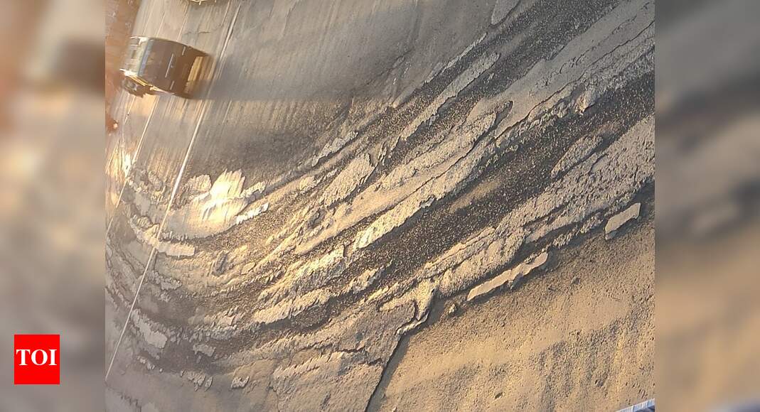 Poor condition of road on Matunga road flyover - Times of India