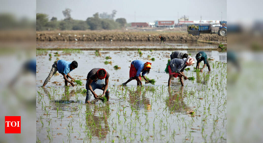 Union Budget 2020: Winners and losers
