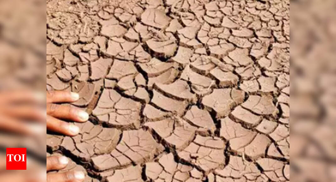 Drought relief: Why Tamil Nadu has to cry harder | Chennai News - Times ...
